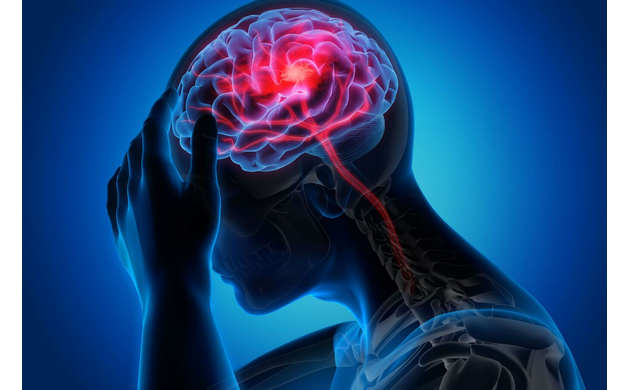 Le coronavirus et le cerveau